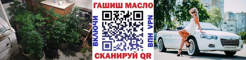 ТГК THC oil  что такое   Новомичуринск 