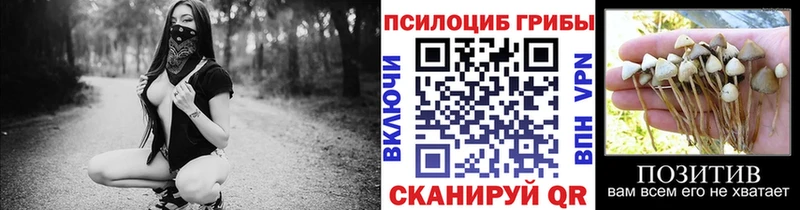 где купить наркотик  ссылка на мегу рабочий сайт  Галлюциногенные грибы Magic Shrooms  Новомичуринск 